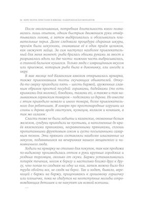 Улица Соляная. От волжских пристаней до Московских ворот. Путеводитель